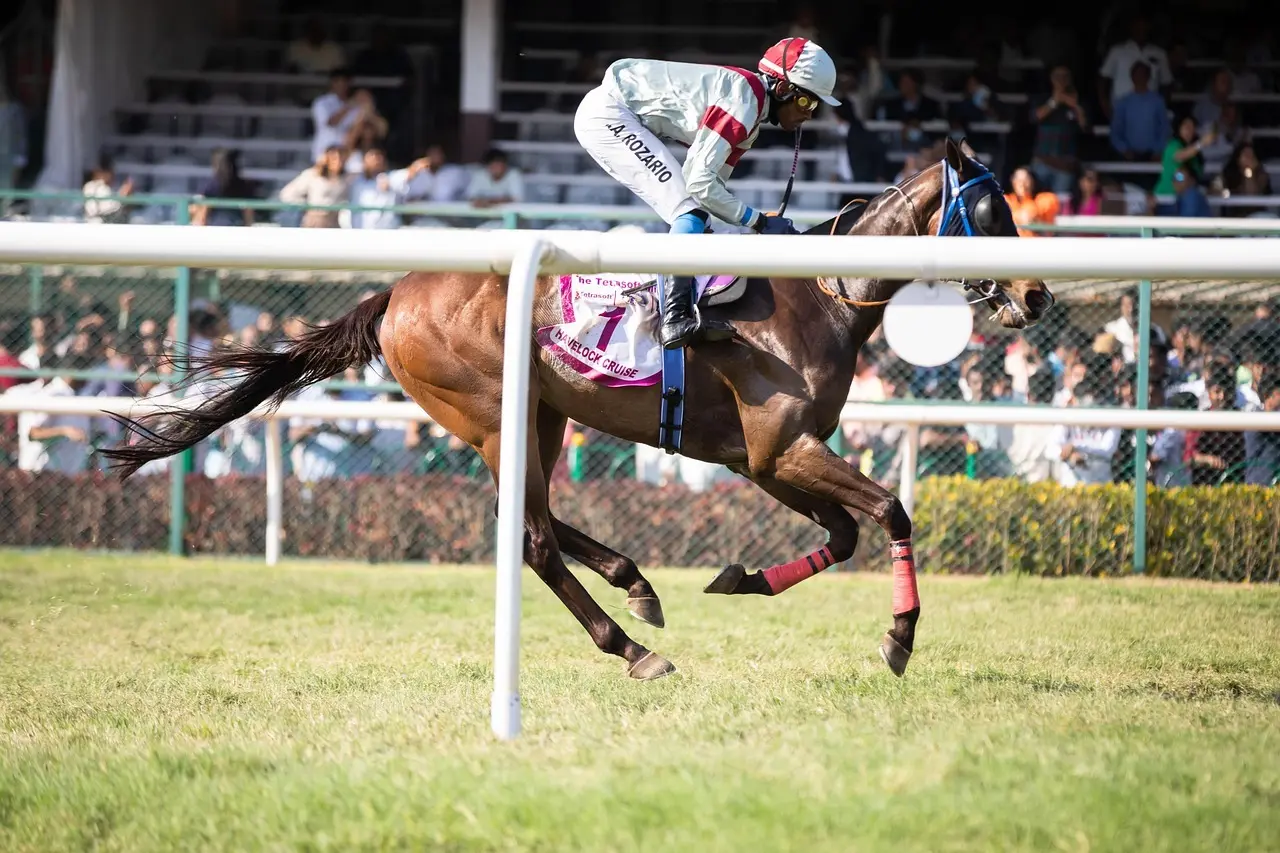 Jockey i galopløb